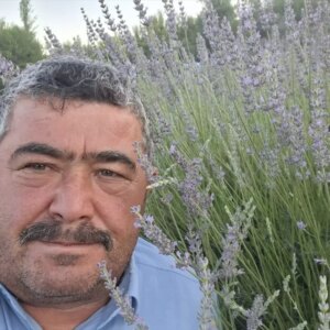 koy muhtarindan lavanta onceligi yWYSuv1U