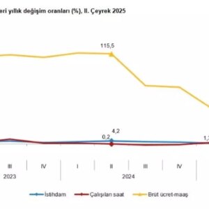 tuik 2025 2 ceyrek is gucu istatistiklerini acikladi ABvAiZX2