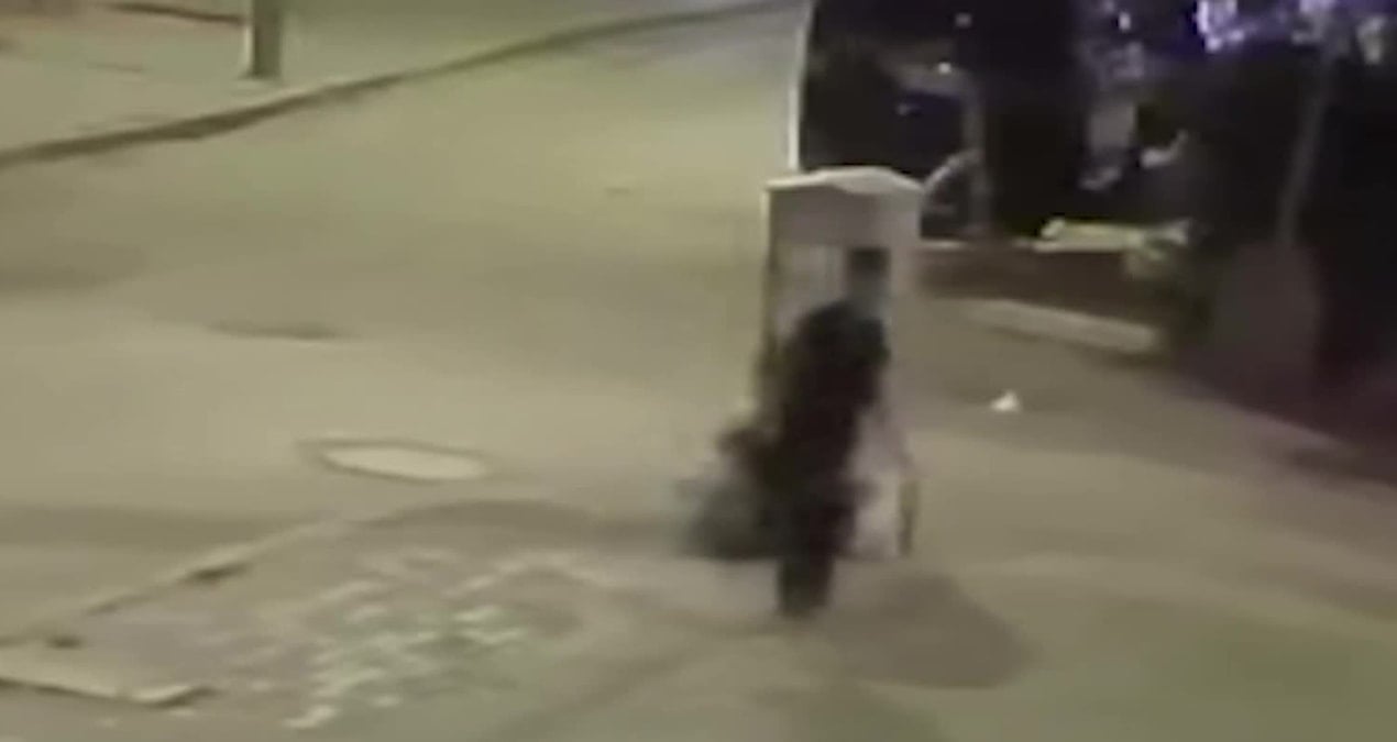 aksarayda yavru kediye iskence defalarca firlatarak oldurdu EL3JMWlS