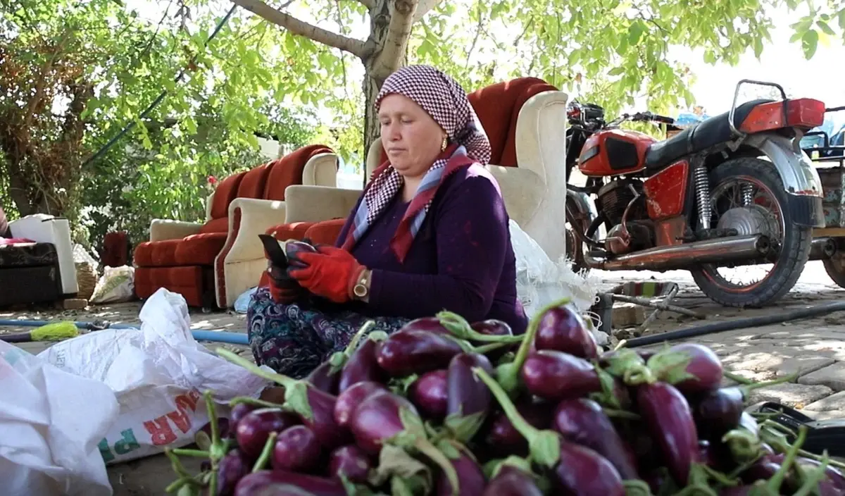 gaziantepte kis hazirliklari devam ediyor jQb5mr6c