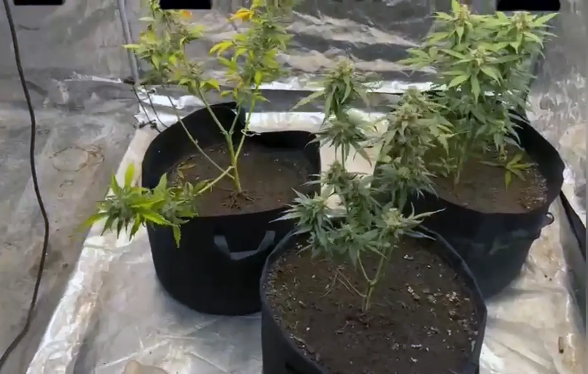 adanada uyusturucu operasyonu B9tEMbRS