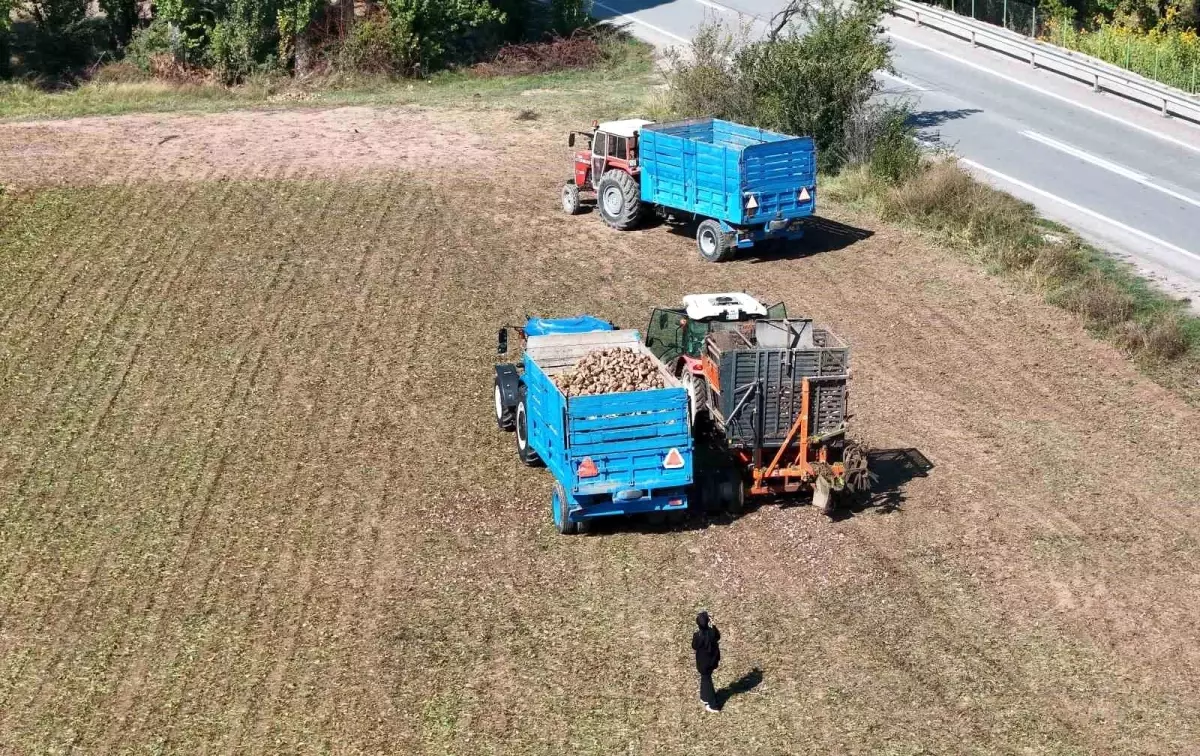 erzincanda seker pancari hasadi basladi vUXSLthc