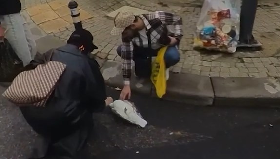 iett otobusunun carptigi martiya kalp masajla hayata dondu SItQ9hqs