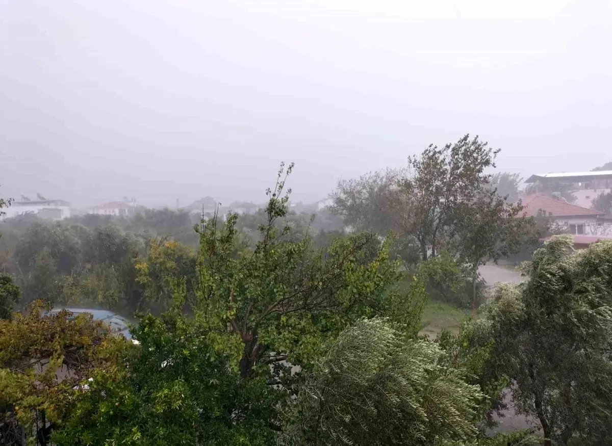 koycegizde firtina ve saganak yagis hayati olumsuz etkiledi DIQMIUVV.jpg