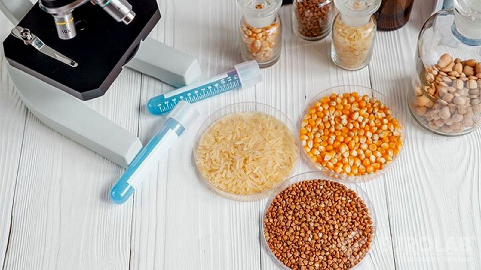 tmr ve kaba yemlerde yem analizi makinesi avantajlari 1mtRr7Tr